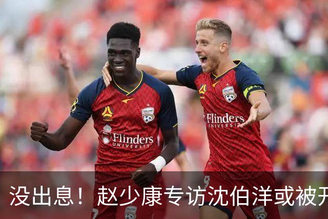 没出息！赵少康专访沈伯洋或被开除党籍，蒋万安急维护，呼吁理性看待